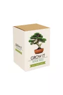 Grow It - Bonsai Trees